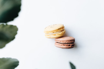 Composition of delicious colorful macaroon