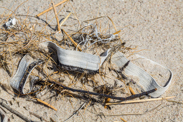 Fototapeta na wymiar Environmental pollution - an old elastic band from underpants, lying on the beach as waste