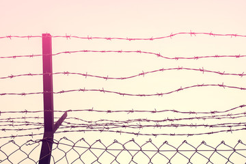 Freedom concept. Copy space of iron barbed wire fence on sunset sky abstract background.