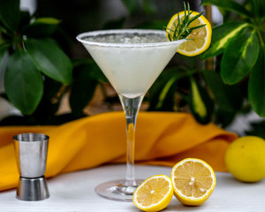 cocktail of martini glass garnished with rosemarine and lemon slices