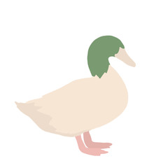 Bird summer Art abstract animal