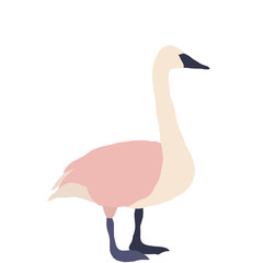 Bird summer Art abstract animal