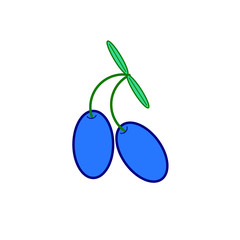 Spanish typical olives icon vector