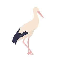 Bird summer Art abstract animal