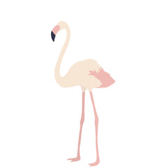 Bird summer Art abstract animal