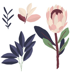 Flower Plant Leaf Home Cozy