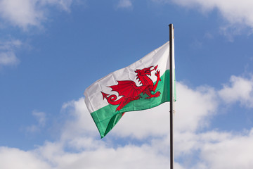 Welsh Flag