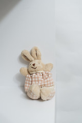 Cute rabbit toys on white background 