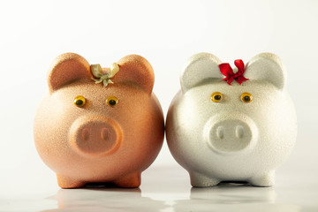 cat beck lucky wealth money fortunes maneki neko on white background