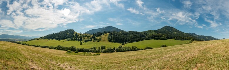 Fototapeta na wymiar panorama view summer foothills landscape lower tatra mountains
