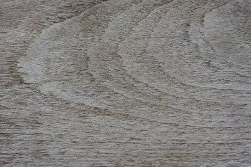 wood texture backgound