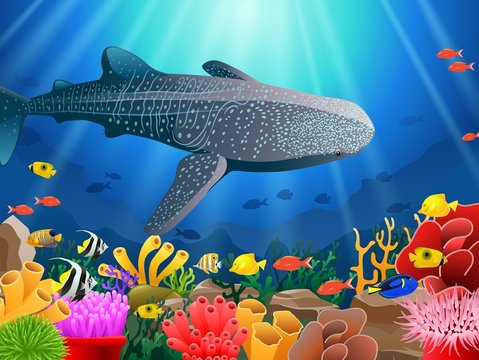 Whale shark cartoon with underwater view and coral background. Vector Illustration