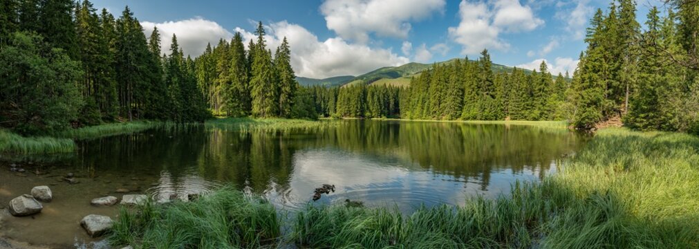 lake in the forest in lower tatra mountains