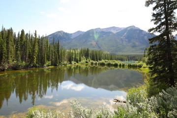 Fototapeta na wymiar British Columbia Rocky Mountains Alberta landscapes with pine trees and lakes