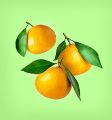Tangerines of different shapes with leaf on a colored background isolated. Composition of a tangerines orange with leaves. Tangerines flying in the air
