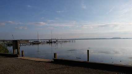 Obraz premium Landschaft am Steinhuder Meer