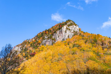 層雲峡の紅葉