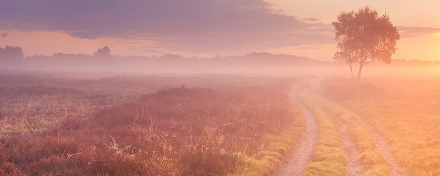 Path through foggy moorland in The Netherlands at sunrise