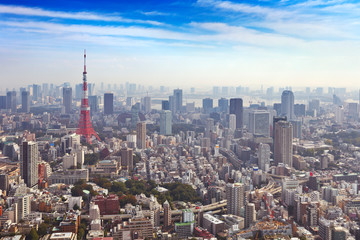 Skyline of Tokyo, Japan with the Tokyo Tower, from above