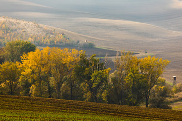 Moravian fields in autumn time. Rolling fileds in Czech Republic near Brno.