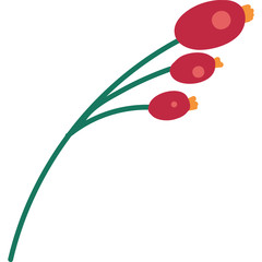 Fototapeta premium Christmas red berries branches flat vector illustration