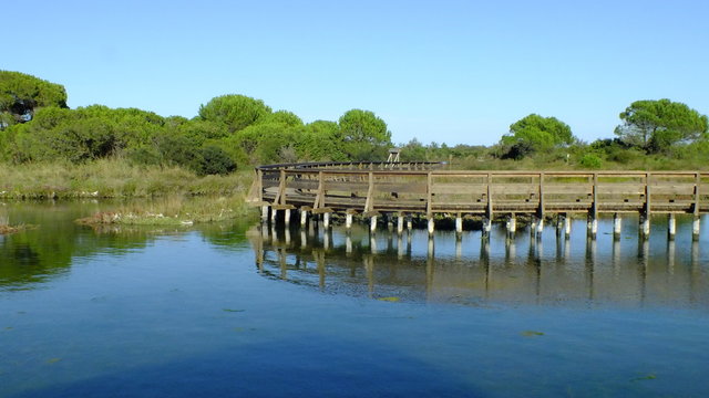 Boardwalk at the Po Delta Botanical Garden in the salt marsh at Rosolina Mare, Italy