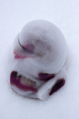 The fountain of foamy liquid soap. Bright chemical reaction of decomposition of hydrogen peroxide.