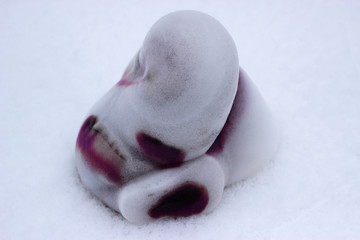 The exothermic reaction of the catalytic decomposition of hydrogen peroxide with liquid soap.