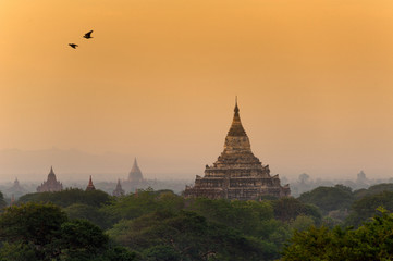 wat shwesandaw bagan,myanmar