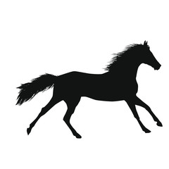 Horse Silhouettes