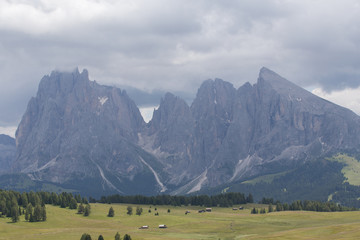 Landscapes on Alpe di Siusi with Sassolungo or Langkofel Mountain Group in Background and small cabins on the grassland in Summer, South Tyrol, Italy