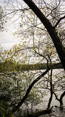 Landschaft im Herbst am Wasser