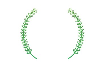 green  laurel wreath isolated on white 