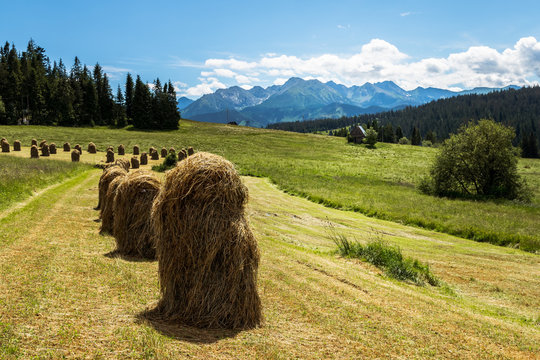 tatry pola słoma widoki niebo chmury polska