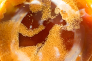 Orange and brown buckwheat honey from above