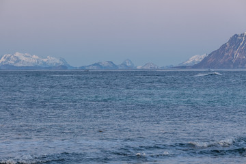 Amazing Sunset during blue hours Over Mountain And Fjord, Winter Landscape, Norway
