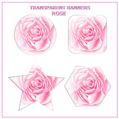 Transparent banners with rose for design. Bright Illustration.