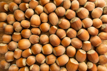 Many fully ripe unpeeled hazelnuts from above