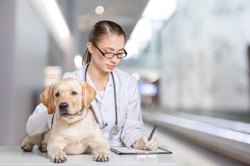 A beautiful young veterinarian with a dog on an office background