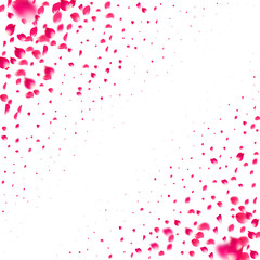 Pink falling petals of roses. Sakura flower pastel texture background.