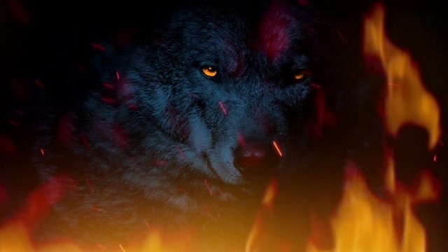 Wolf Growls With Glowing Eyes In Fire Abstract