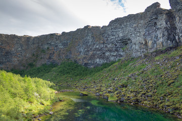 Fototapeta na wymiar Glacial lake on the bottom of a deep miss, abyss, Iceland Asbyrgi canyon