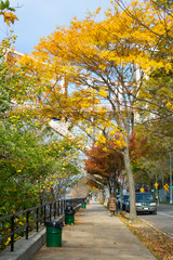 Naklejka premium Chodnik wzdłuż East River i Triborough Bridge w Astoria Queens w Nowym Jorku