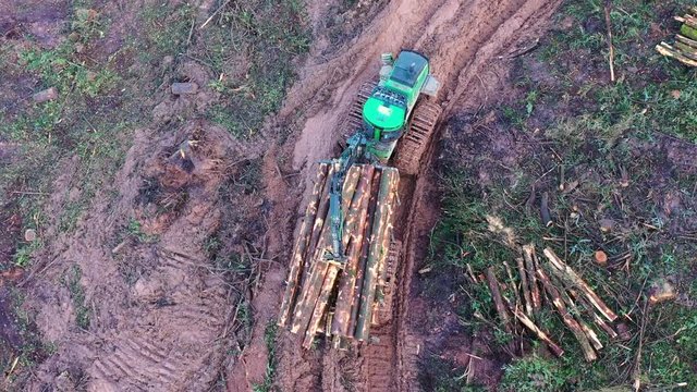 Lumber being transported along a muddy track by heavy machinery. Aerial view