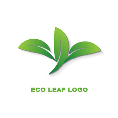 Green Leaf Plant with Shadow Logo Design Template 