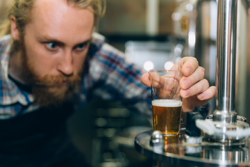 Young man working at small craft beer making factory and checking the quality of beer. Male working at beer plant.
