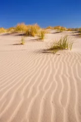 Foto auf Acrylglas Sand dunes with ripples © sara_winter