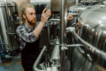 Fototapeta na wymiar Brewery worker looking at freshly made beer in glass tube. Male brewer testing beer at brewery factory. 4k. Small business concept.