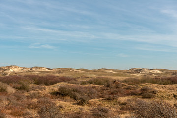Fototapeta na wymiar Panoramic view over a dune landscape