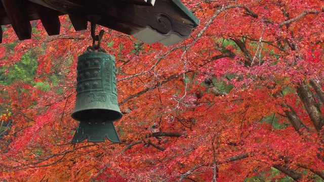 日本 京都 南禅寺の紅葉と秋景色